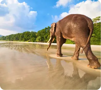 Breathtaking Andaman